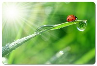 MousePad Esperanza EA133