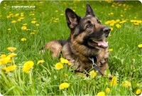 MousePad Esperanza EA133