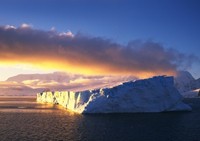 Scanner Epson B11B207313