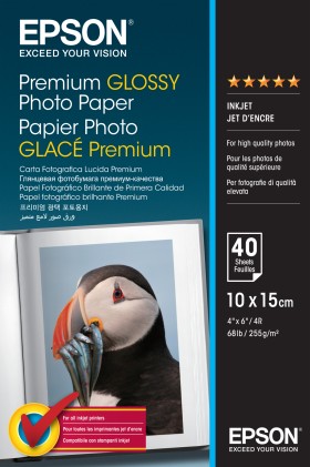 Carta Fotografica Epson Premium Glossy Photo Paper C13S042153