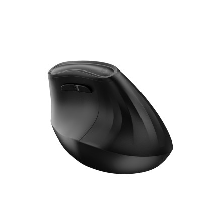 Ewent EW3208 mouse Universale Mano destra RF senza fili + Bluetooth Ottico 4000 DPI