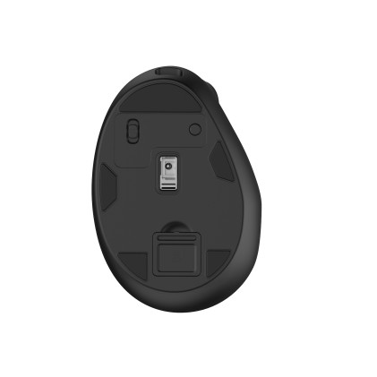 Ewent EW3208 mouse Universale Mano destra RF senza fili + Bluetooth Ottico 4000 DPI