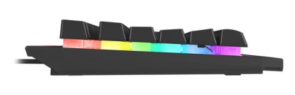 GENESIS Rhod 500 RGB tastiera Gaming USB QWERTY Spagnolo Nero, Grigio