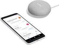 Google Home Mini Grigio Chiaro