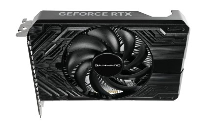 Gainward GeForce RTX 4060 Pegasus NVIDIA 8 GB GDDR6