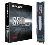 HD SSD M.2 256GB GigaByte 1100/500