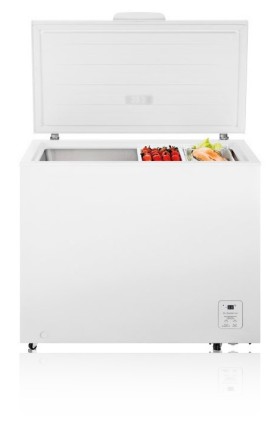 Congelatore Hisense Fc319D4Aw1