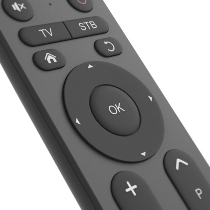 Hama 00221056 telecomando IR Wireless TV Pulsanti