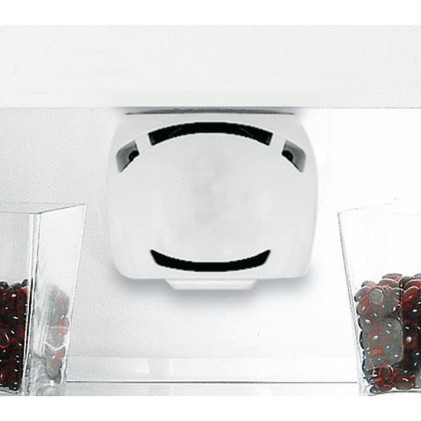 Frigorifero Indesit Teaan 5 S 1 869991601400