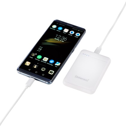 Intenso Power Bank 5000Mah Usb A+Type C  5V-2.1A Micro Usb+Type C 5V-2.1A White