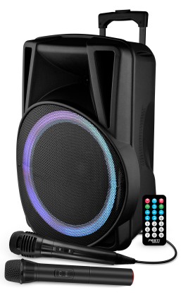 Casse Attive Trolley Karma Festi 15