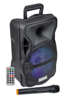 Speaker 8" 300W Mp3/Bluetooth/Sd/ Usb Con Led E Radiomicrofono