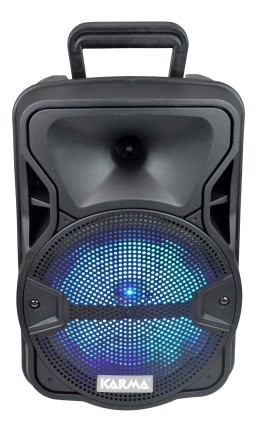 Speaker 8" 300W Mp3/Bluetooth/Sd/ Usb Con Led E Radiomicrofono