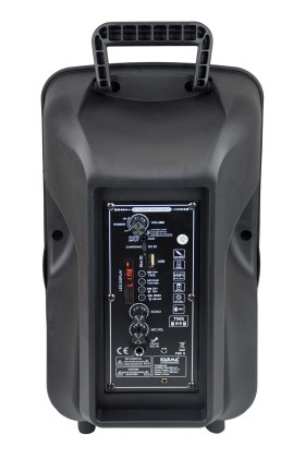 Speaker 8" 300W Mp3/Bluetooth/Sd/ Usb Con Led E Radiomicrofono