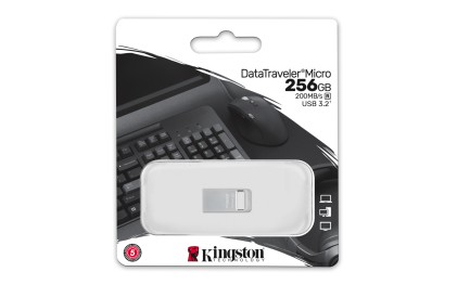 Kingston Technology DataTraveler Micro unit&agrave; flash USB 256 GB USB tipo A 3.2 Gen 1 (3.1 Gen 1) Argento