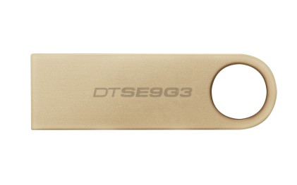 Kingston Technology DataTraveler 256GB 220MB/s Drive USB 3.2 Gen 1 in Metallo SE9 G3
