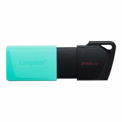 Chiavetta Usb Kingston Datatraveler Exodia M 256Gb Dtxm/256