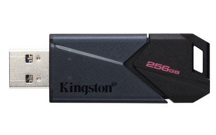 Kingston Technology DataTraveler Exodia Onyx USB 256 GB USB tipo A 3.2 Gen 1 (3.1 Gen 1) Nero