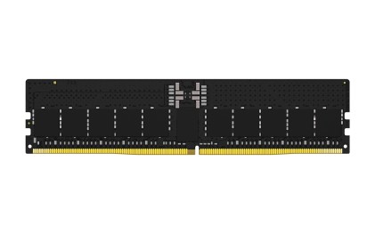 Kingston Ram Fury Renegare Pro 16Gb Ddr5 Dimm 5600Mt Exx Cl36