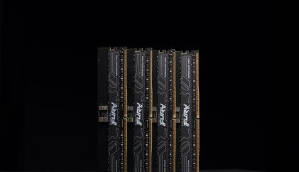 Kingston Ram Fury Renegare Pro 16Gb Ddr5 Dimm 5600Mt Exx Cl36