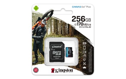 Kingston Technology Canvas Go! Plus 256 GB SD UHS-I Classe 10
