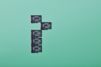 Sd Micro 256Gb Cl10 Uhs-I Con Adatt 150Mb/S Let.85Mb/S Scrit.Kingston