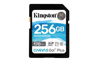 Kingston Technology Canvas Go! Plus 256 GB SD UHS-I Classe 10