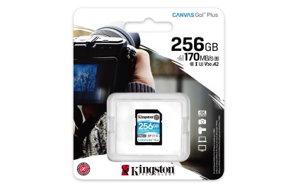 Kingston Technology Canvas Go! Plus 256 GB SD UHS-I Classe 10