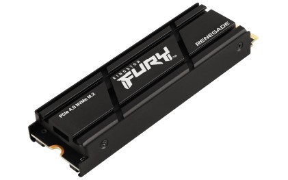 Kingston Technology 2000G RENEGADE PCIe 4.0 NVMe SSD W/ Dissipatore di calore