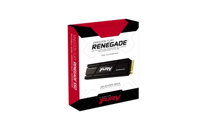 Kingston Technology 2000G RENEGADE PCIe 4.0 NVMe SSD W/ Dissipatore di calore