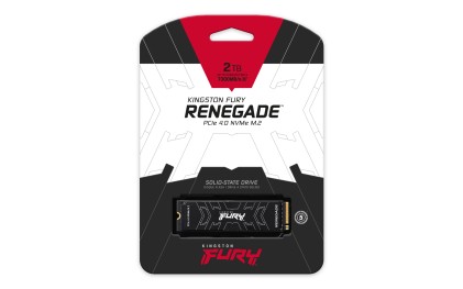 Kingston Technology 2000G FURY RENEGADE M.2 2280 NVMe SSD