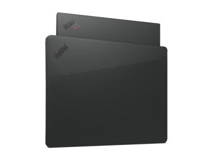 Custodia ThinkPad Professional da 14"