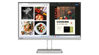 Lenovo L24i-40 LED display 60,5 cm (23.8") 1920 x 1080 Pixel Full HD Grigio