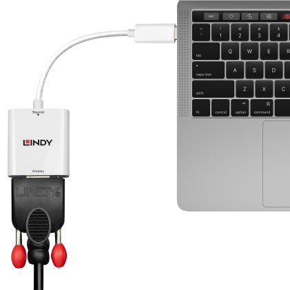 Lindy Adattatore Usb 3.1 Tipo C A Vga