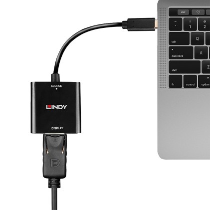 Lindy Converter Usb Di Tipo C A Displayport 4K144