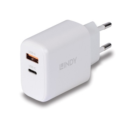 Lindy Alimentatore Gan Usb Tipo A  C, 65W