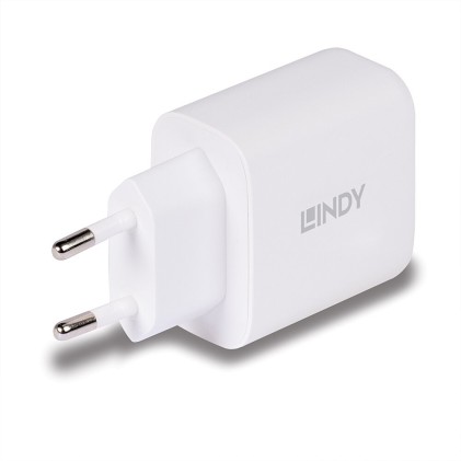 Lindy Alimentatore Gan Usb Tipo A  C, 65W
