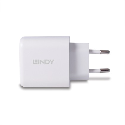 Lindy Alimentatore Gan Usb Tipo A  C, 65W