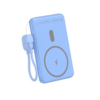Leotec LEPOWW20W5B batteria portatile Polimeri di litio (LiPo) 5000 mAh Carica wireless Blu