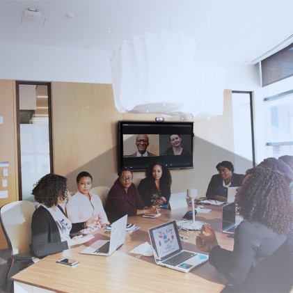 LogiLink UA0377 webcam 2 MP 1920 x 1080 Pixel USB 2.0 Nero, Argento