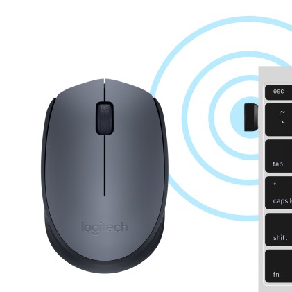 MOUSE LOGITECH WIRELESS M170