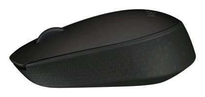 Mouse Logitech Wireless B170