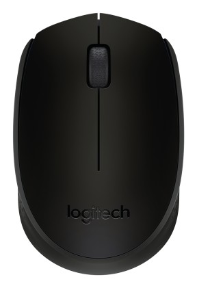 Mouse Logitech Wireless B170