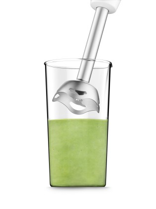 Frullatore Immersione Moulinex Dd4521 Dd452110 450W