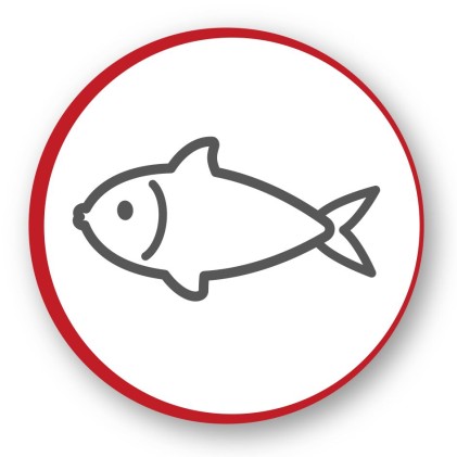 Friggitrice Elettrica Moulinex Easy Fry Compact Precision Ez301810