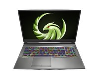 Msi Nb Alpha 17 A4Dek-010Xit Ryzen 7 4800H 16Gb 1Tb Ssd 17,3 Fhd Rx 5600 6Gb Freedos