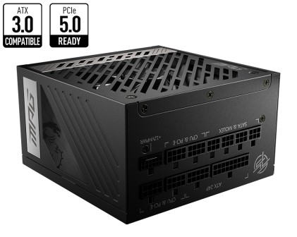 Alimentatore 850W Pcie 5 80+ Gold Full Modular Bk
