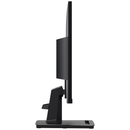 Mon 24,5Ips Hdmi Vga Bk Mm 100Hz Msi Pro Mp251 1Ms Fhd Black 16:9