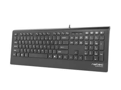 NATEC Barracuda tastiera Universale USB QWERTY Spagnolo Nero