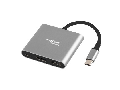 NATEC Fowler Mini USB 2.0 Type-C Grigio
